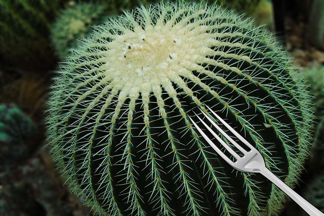 Мышляндия